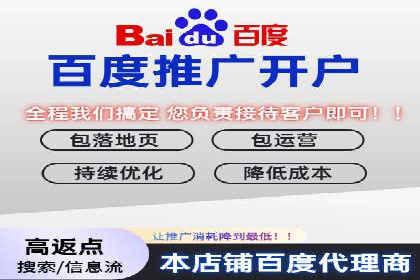 百度优化推广案例：打造高转化率网站